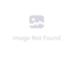 বিমানের একাউন্ট তৈরি করবেন?